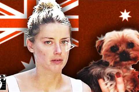 Why Is Amber Heard Potentially Facing 10 Years In Prison? #SHORTS