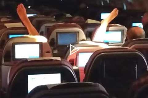The Most Unexpected Things Happened On Airplanes