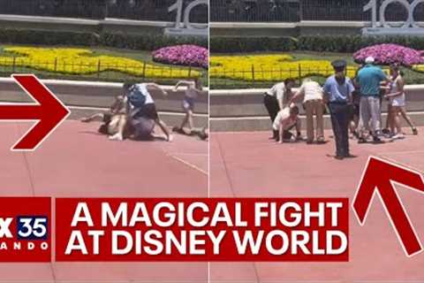 Punches fly between families at Disney''s Magic Kingdom in fight over photo op