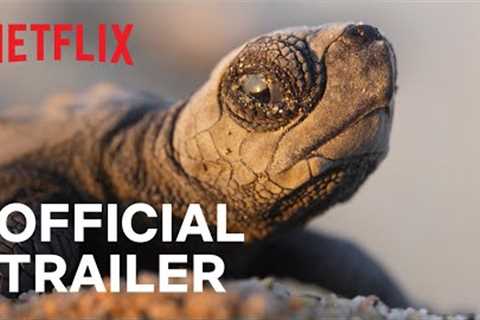 OUR PLANET II | Official Trailer | Netflix