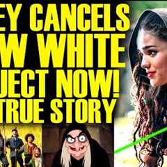 DISNEY CANCELLED SNOW WHITE PROJECT! The TRUE STORY Arrives & It''s A Nightmare For Bob Iger
