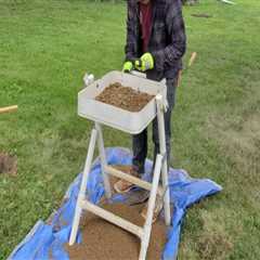 The Impact of Documentary Films on the Local Economy of Lincoln Park, Michigan