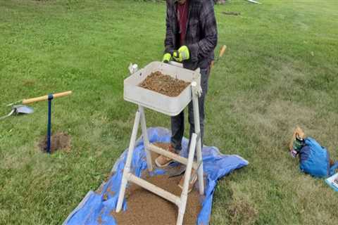 The Impact of Documentary Films on the Local Economy of Lincoln Park, Michigan